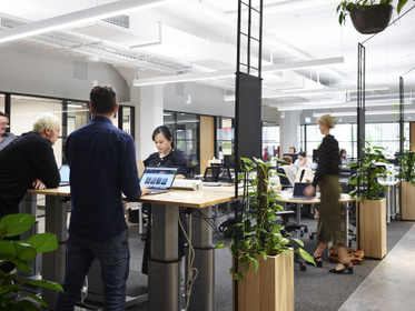 Hyde Park 30 Person Office 