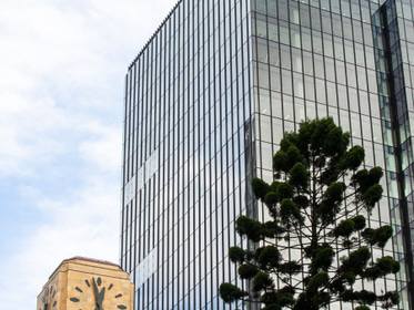 Carrington Street 15 Person Office 